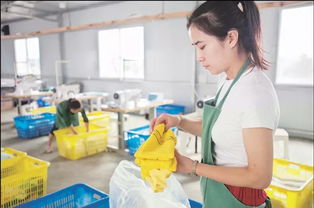 郊野小院里的日用杂品销售梦