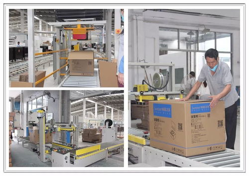 工厂巨变 从百人到十人，浴室柜行业的生产革命与市场阵痛